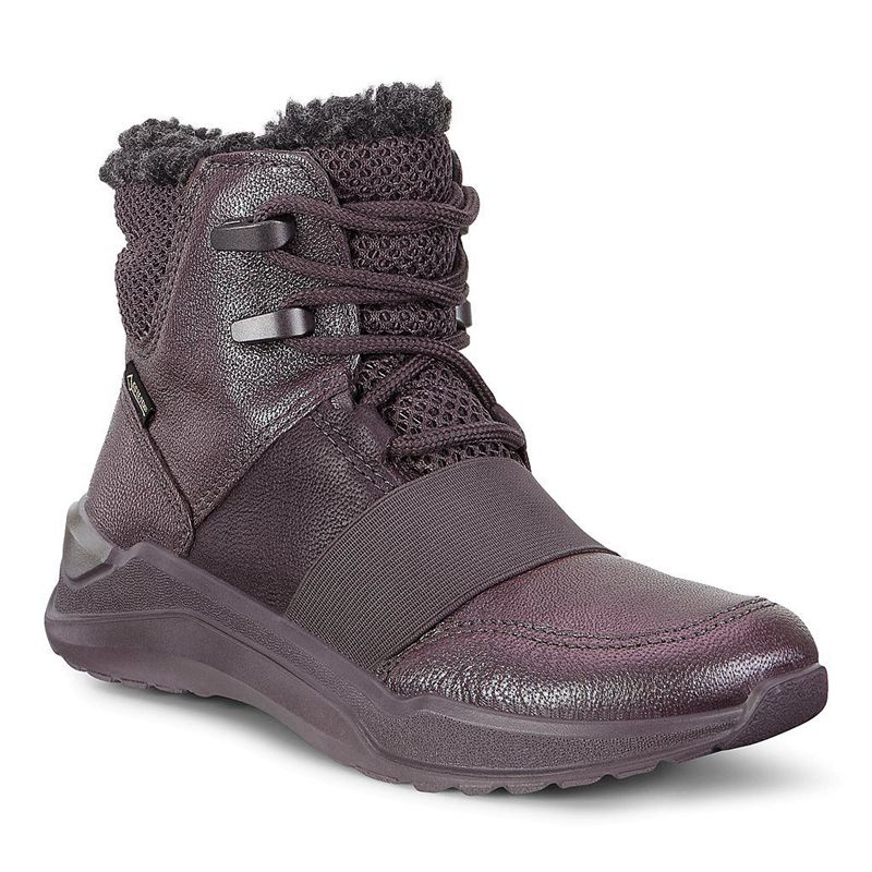 Kids Ecco Intervene - Boots Purple - India OILGTF231